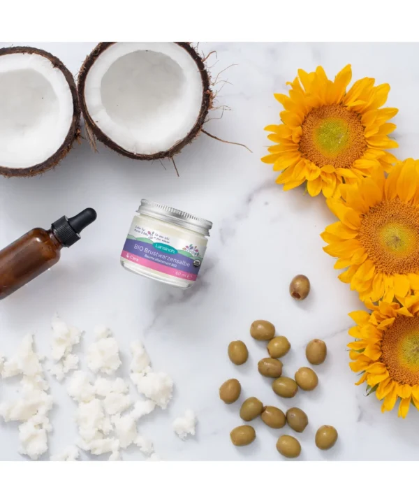 baume-d-allaitement-lansinoh-bio-60ml (1) baume-d-allaitement-lansinoh-bio-60ml (1)